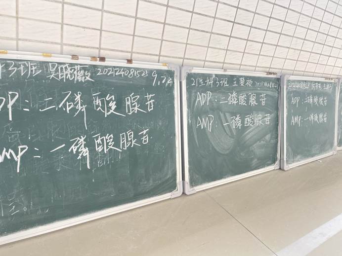 ed0c2bde304b11bbb90e6ab93d11936