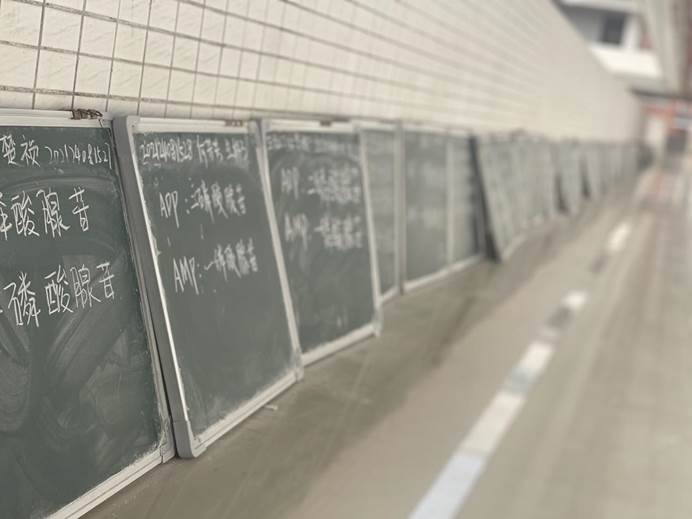 fd81300e28ddf2a4cf538c8c3d8d33e